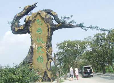 鹽城龍崗桃花園景區(qū)仿真樹大門工程