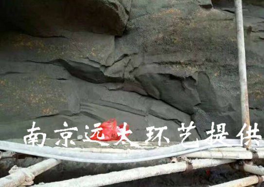 迪斯尼塑假山工艺.jpg