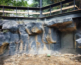 南京紅山動(dòng)物園珍禽館水泥塑山工程